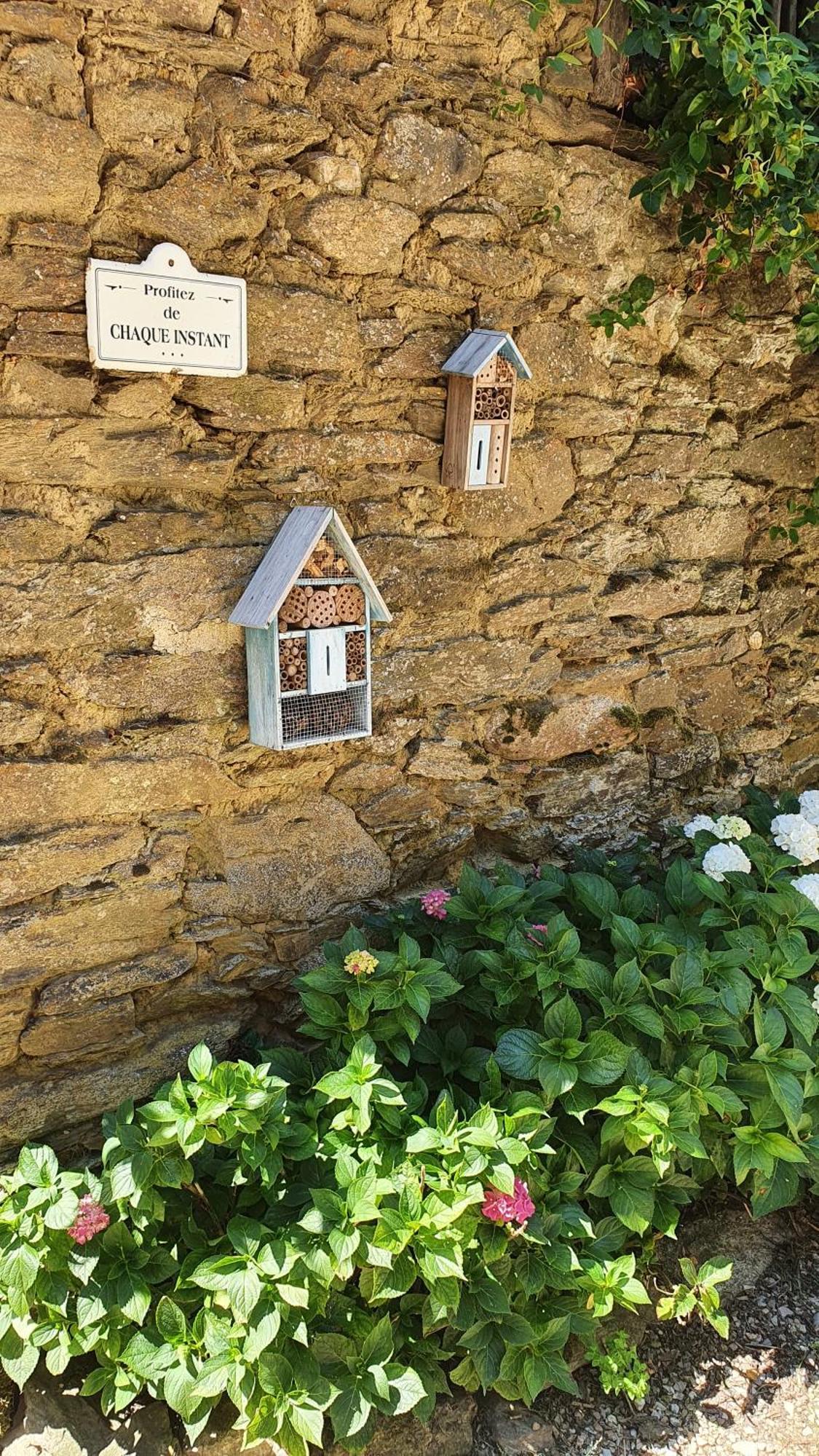 La Ferme Des Andes - Gite L'Atelier Quins Eksteriør bilde