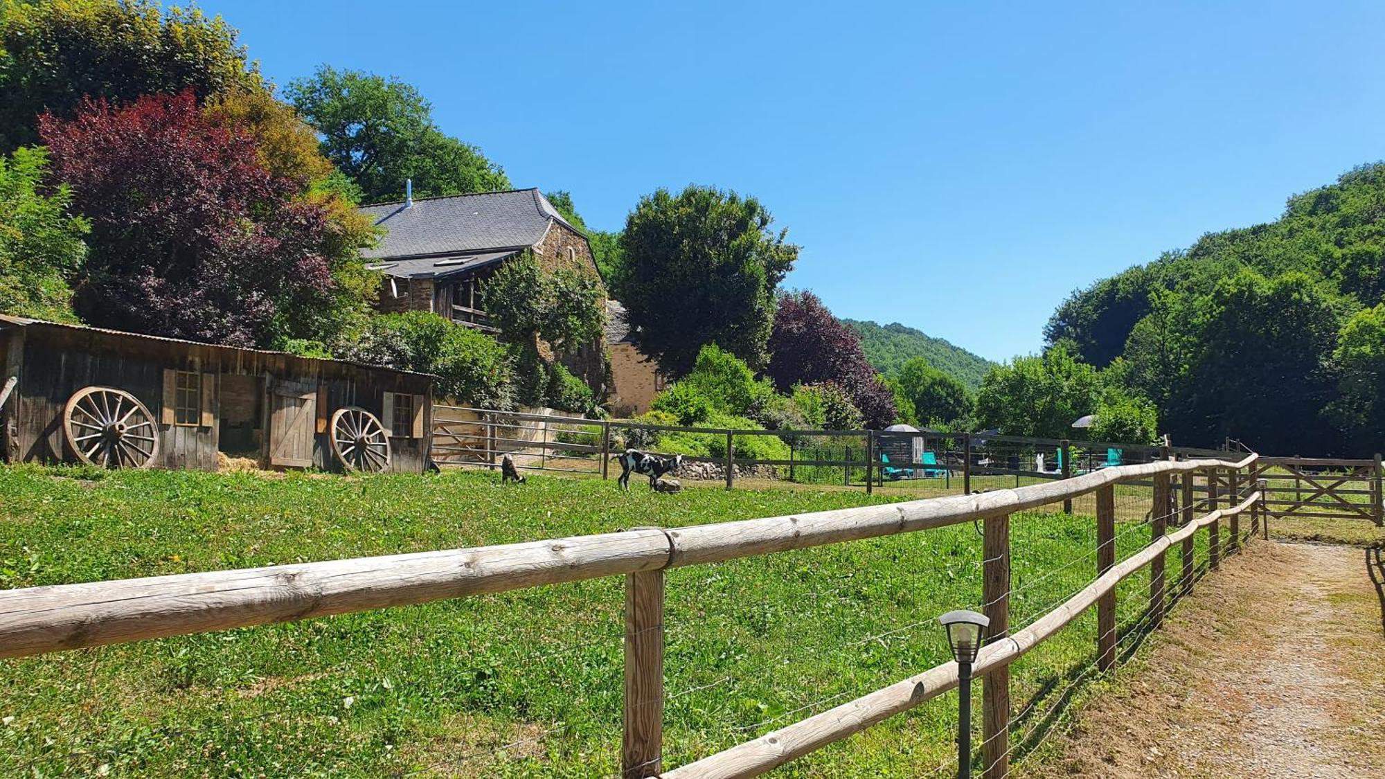 La Ferme Des Andes - Gite L'Atelier Quins Eksteriør bilde