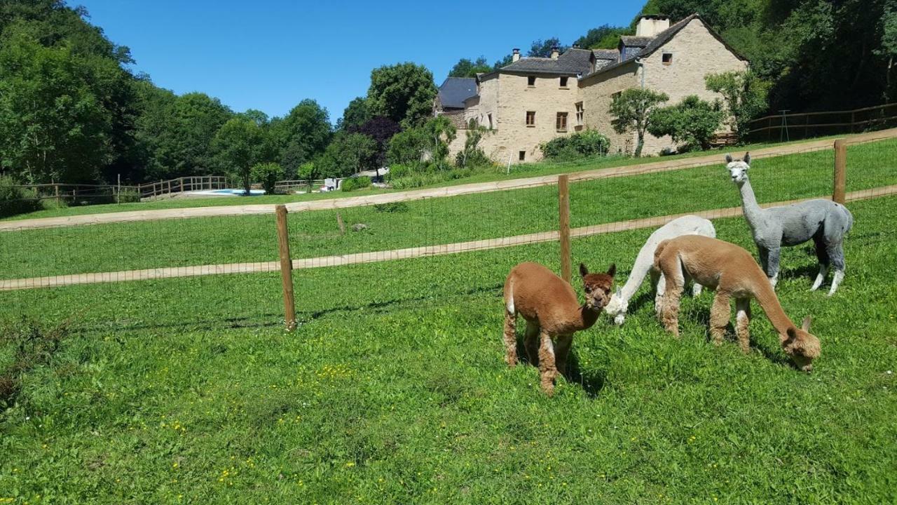 La Ferme Des Andes - Gite L'Atelier Quins Eksteriør bilde