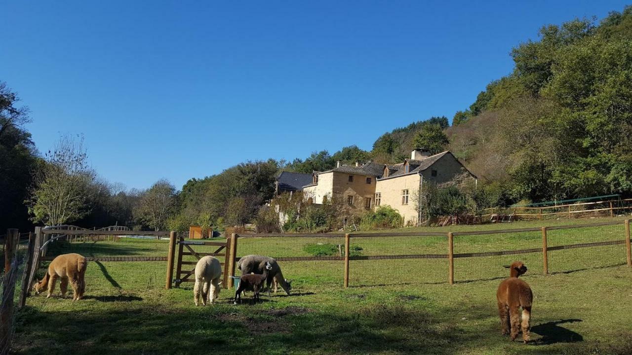 La Ferme Des Andes - Gite L'Atelier Quins Eksteriør bilde